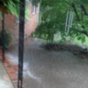 Meet your Posher, Chason